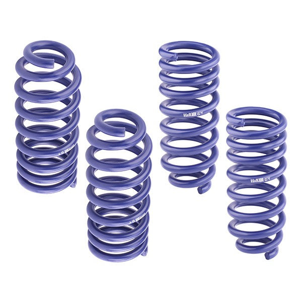 H&R Sport Lowering Springs - Audi A3 8P 03-12 (4WD)