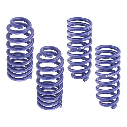 H&R Sport Lowering Springs - Audi A3 8P 03-12 (4WD)