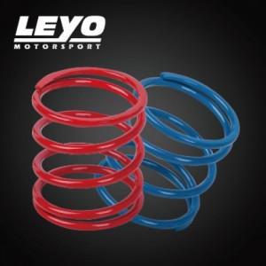 LEYO Diverter & BOV Uprated Spring Kit