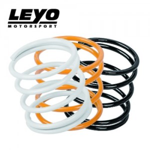 LEYO Diverter & BOV Standard Spring Kit